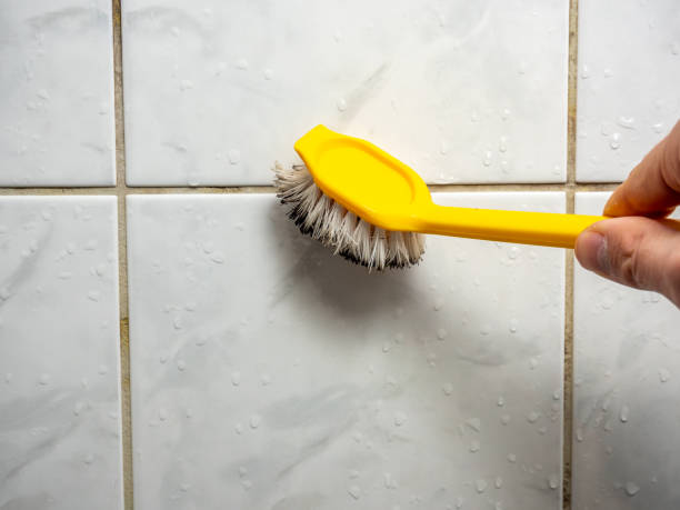 Best Toxic Mold Removal  in Churchill, OH