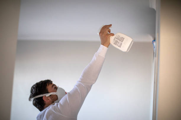 Best Office Mold Removal Services  in Churchill, OH