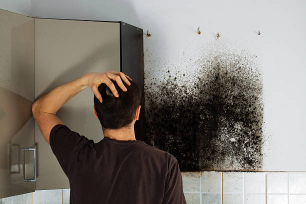 Best Crawl Space Mold Removal  in Churchill, OH